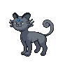 Dark Persian (Alolan)